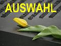 Auswahl